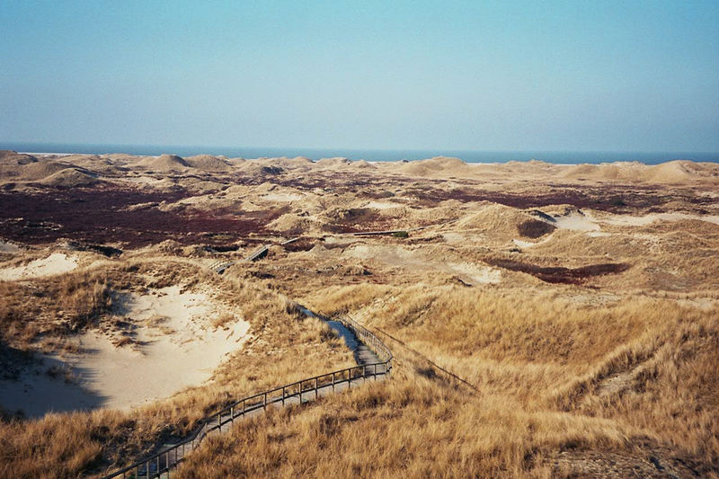 Amrumer Dünen, Februar 2006