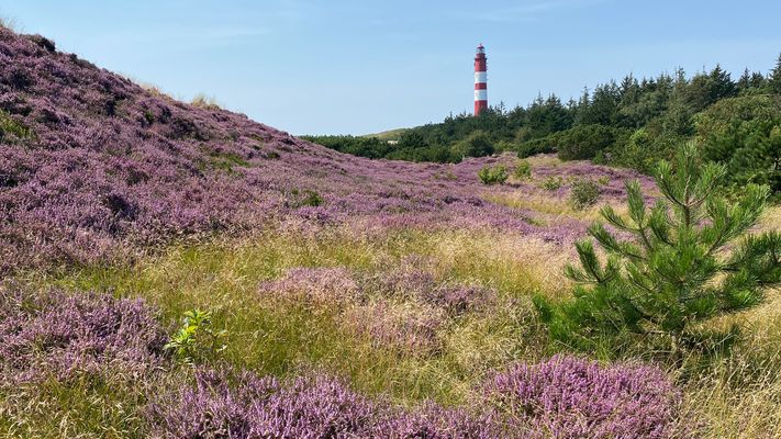 Amrumer Leuchtturm