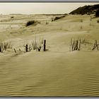 amrumer sand