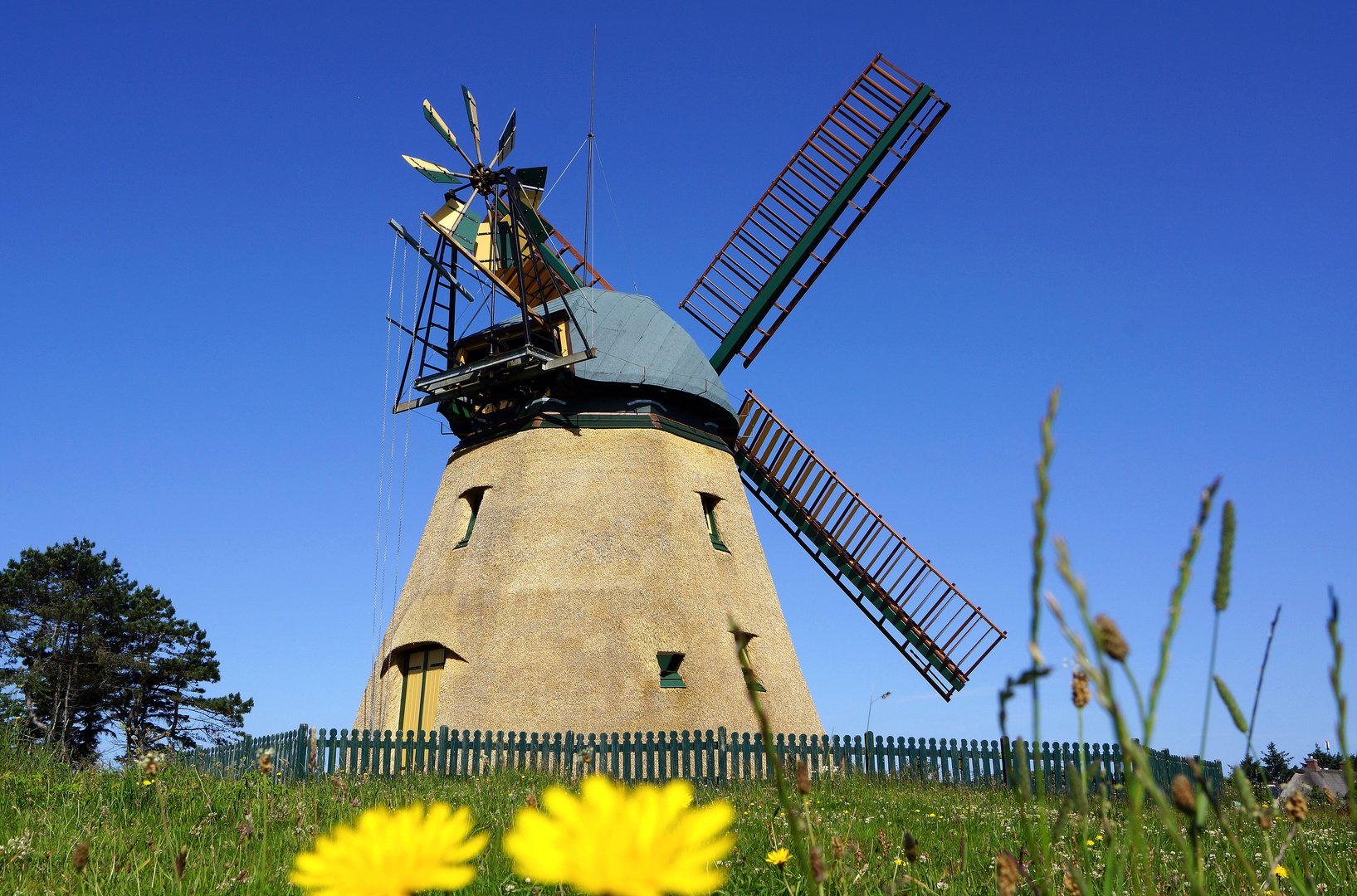 Amrumer Windmühle