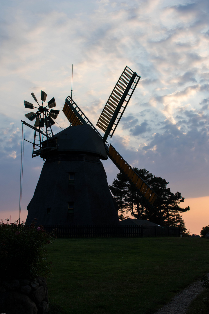 Amrumer Windmühle in Nebel