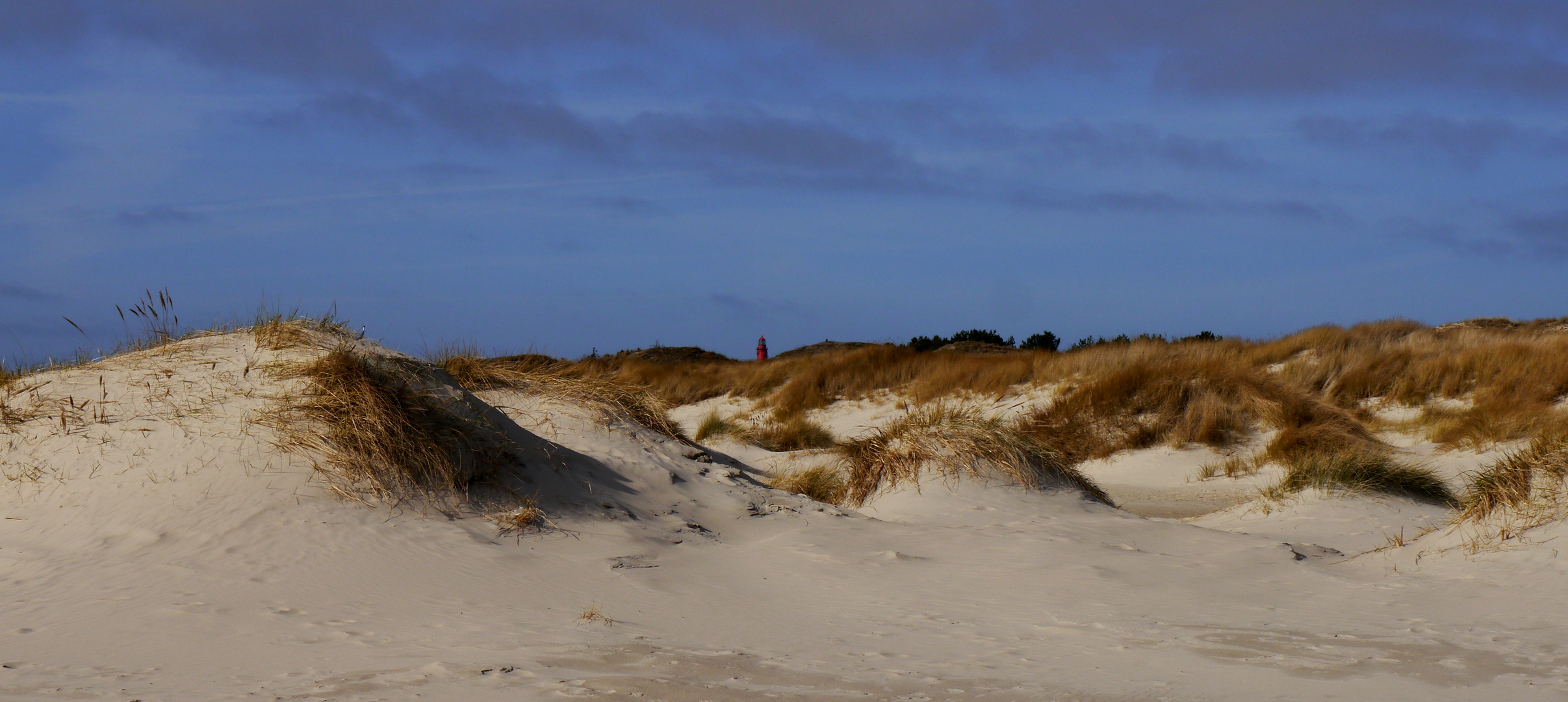 Amrum's Dünenmeer