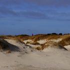 Amrum's Dünenmeer