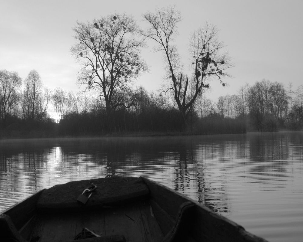 *Am_See* von Dominik Gerlach