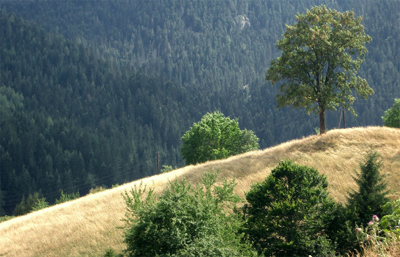 Amselfeld (Kosova)