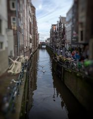 Amsterdam 04