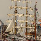 Amsterdam 2015  "Sail in"