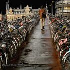 Amsterdam Bicycle Paradise