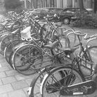 Amsterdam bikes