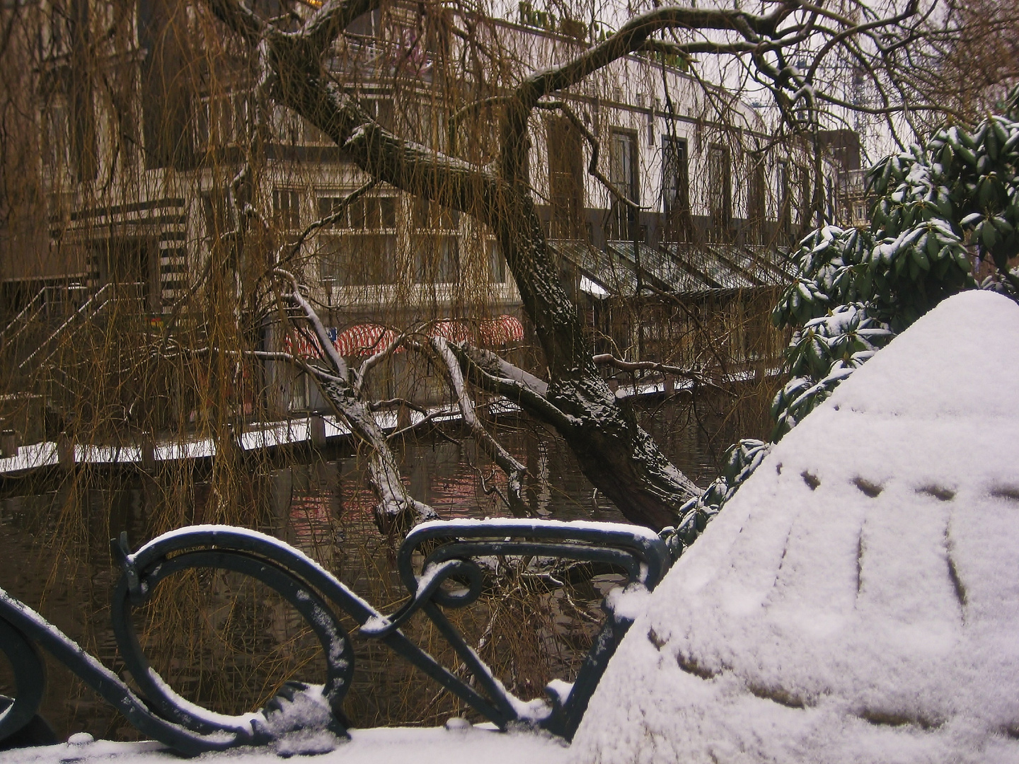 Amsterdam blanca