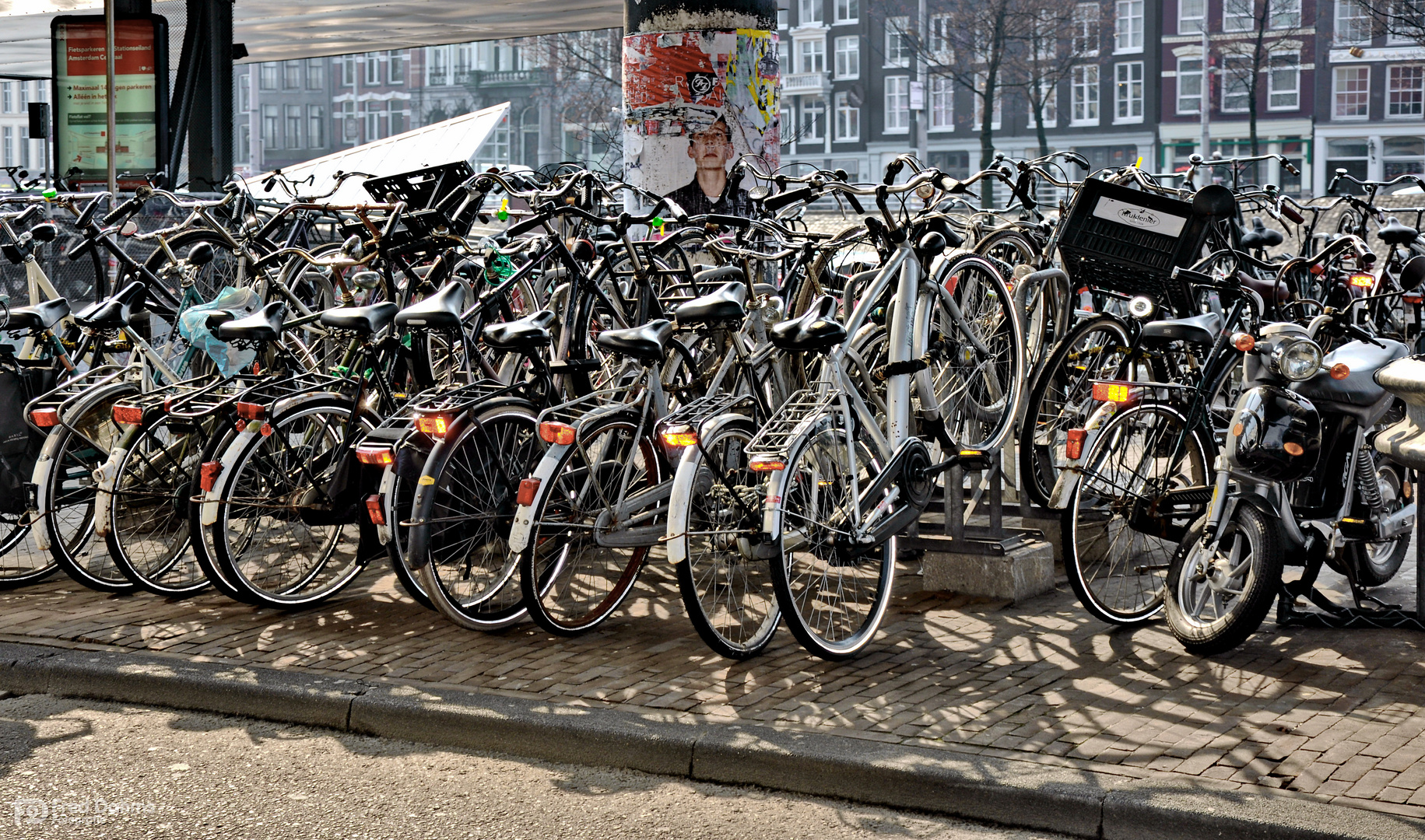 Amsterdam, Drahtesel oder 5 € die Stunde Parkgebühr