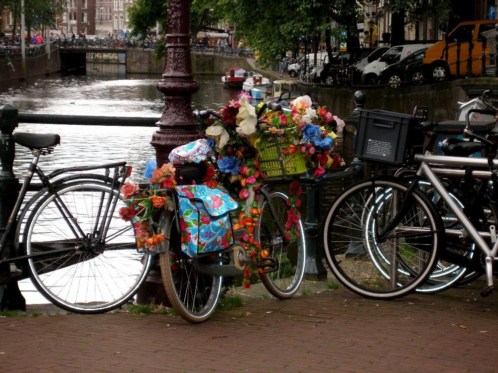 Amsterdam: ein Blumenfahrrad