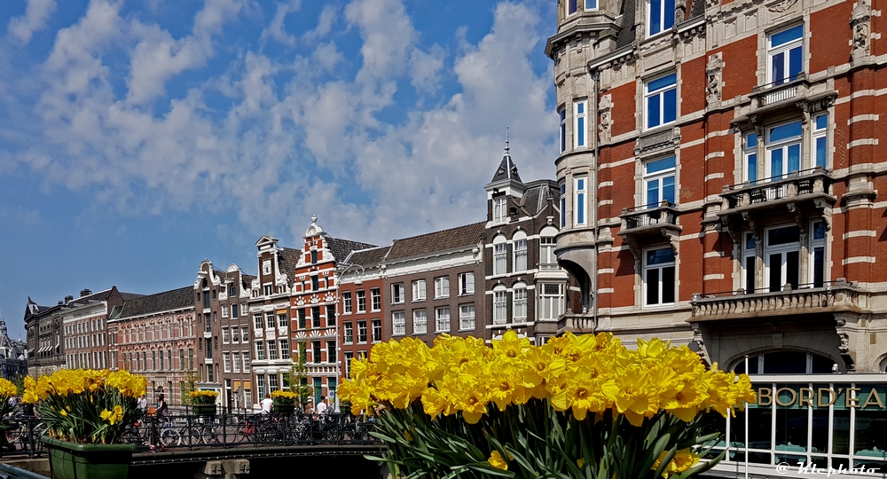 Amsterdam II