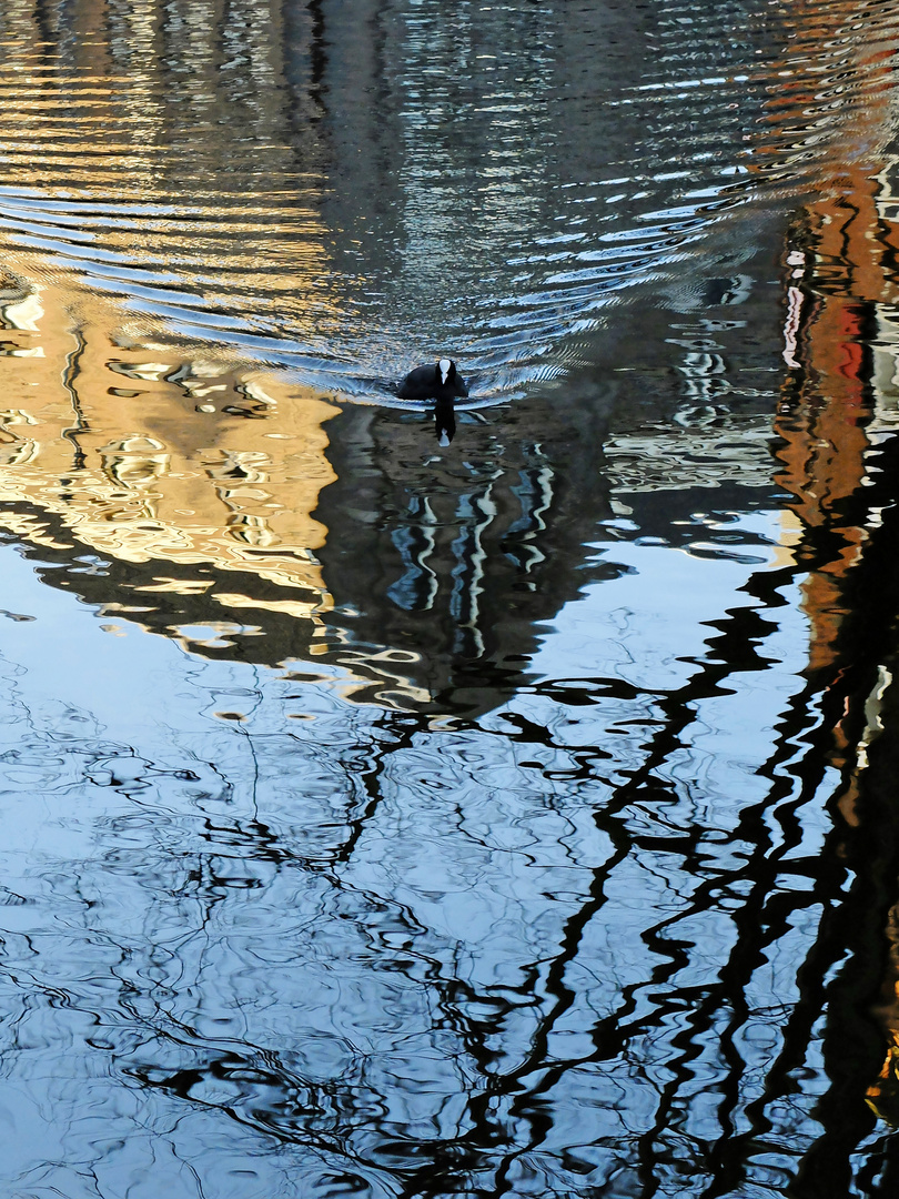 Amsterdam Reflected