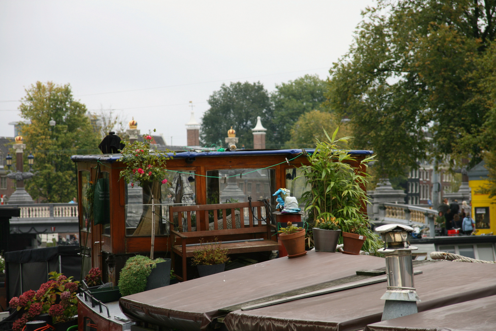 Amsterdam / Vorgarten mit Hanf