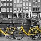 Amsterdam Yellow Bikes