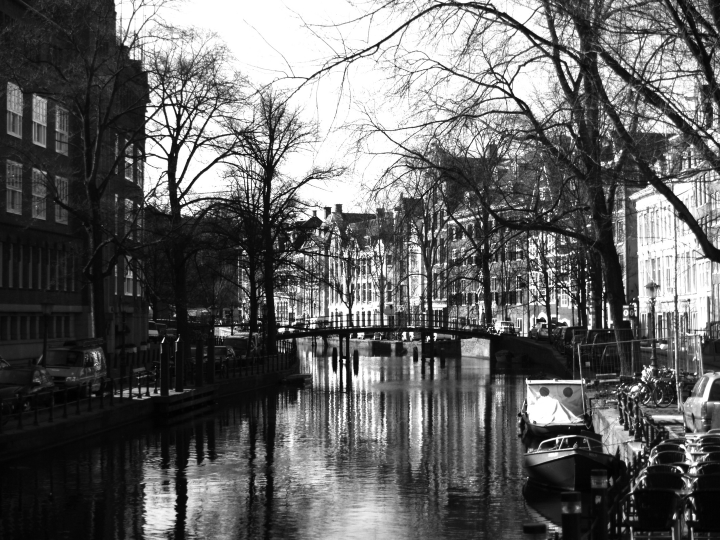 Amsterdamer Gracht S/W