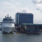 Amsterdamer Hafen