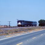 Amtrak California in der Mittagshitze das San Joaquin Valley nahe bei Hanford,CA