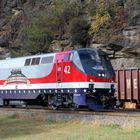 Amtrak P42 AMTK#42 with Logo America`s Railroad "SALUTES OUR VETERANS",