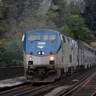 AMTRAK P42 Genesis AMTK#155 fährt in den Bahnhof von Harpers Ferry ein, West Virginia,USA