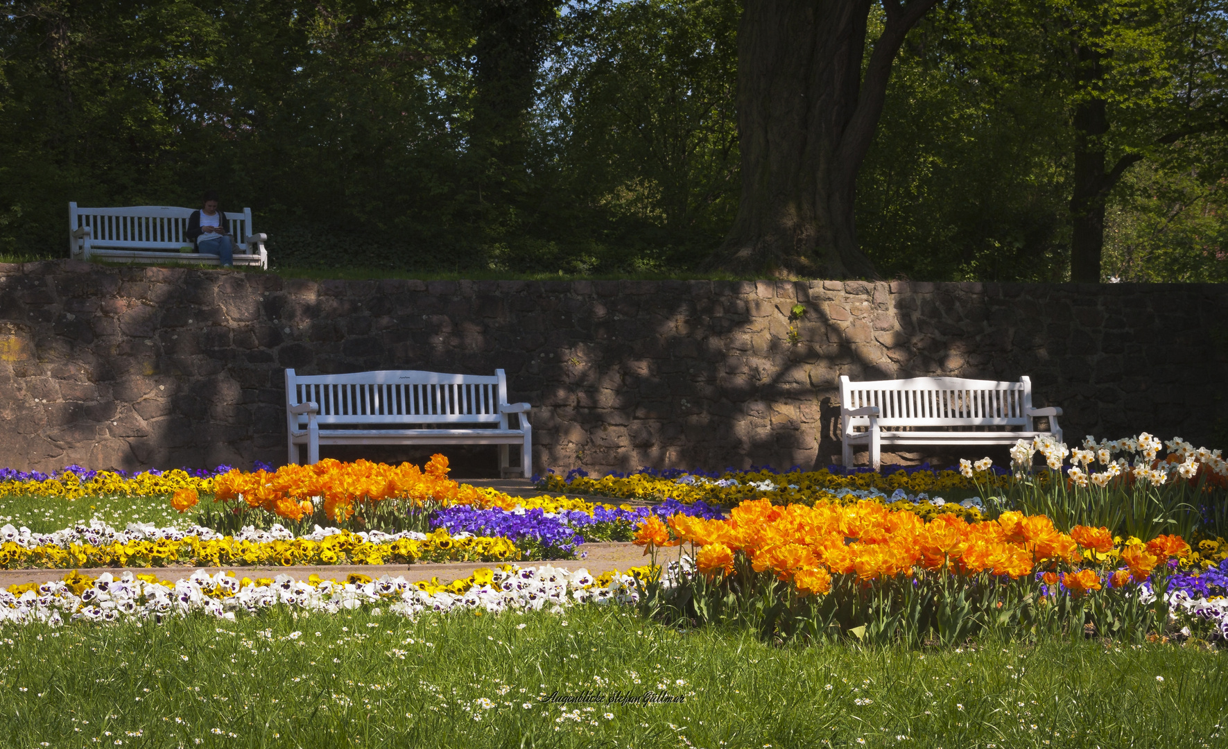 Amtsgarten Halle/Saale