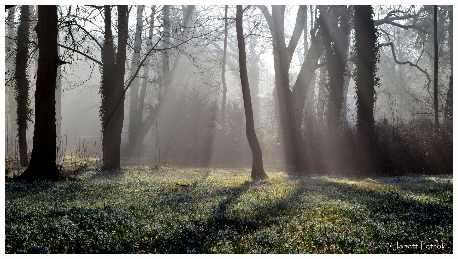 Amtsgarten im Morgenlicht...