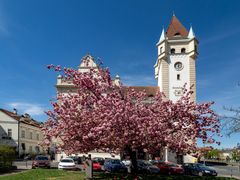 Amtshaus Hietzing