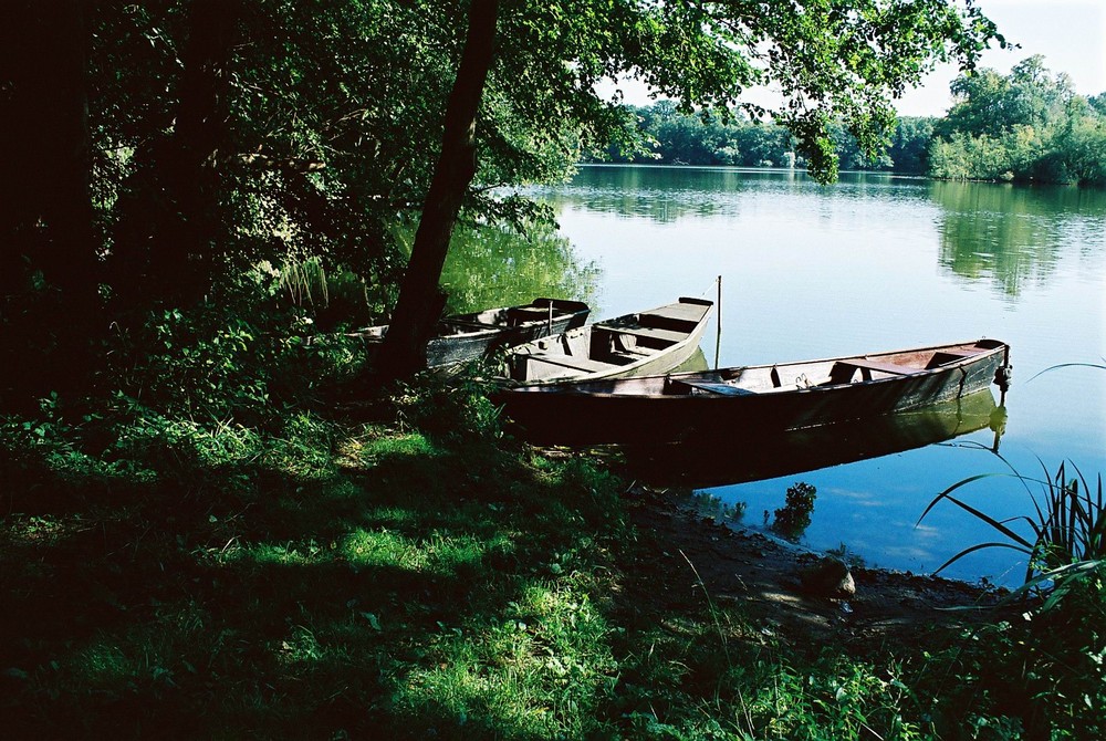 Amtssee beim Kloster Chorin