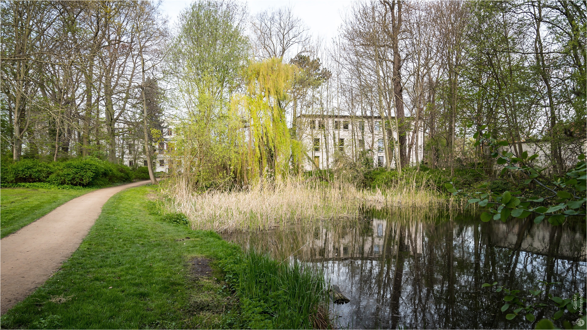 Amtsteich im Amtsgarten