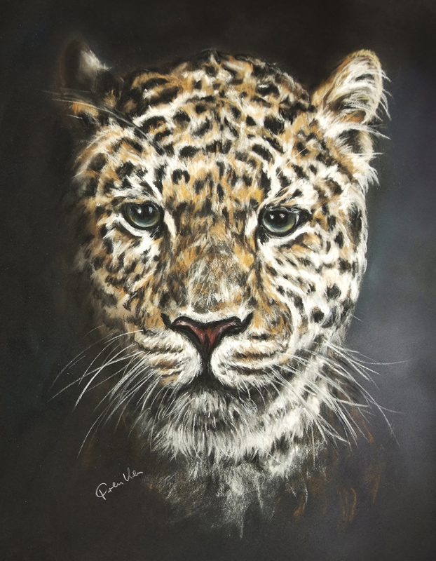 Amur Leopard