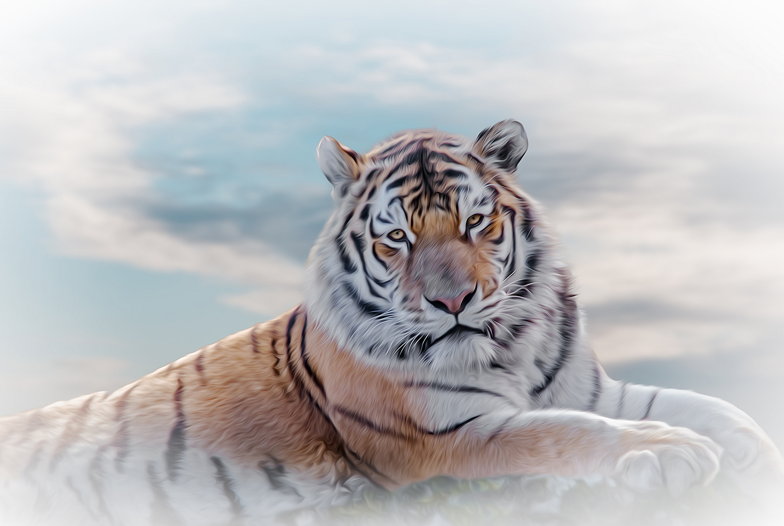 Amur Tiger