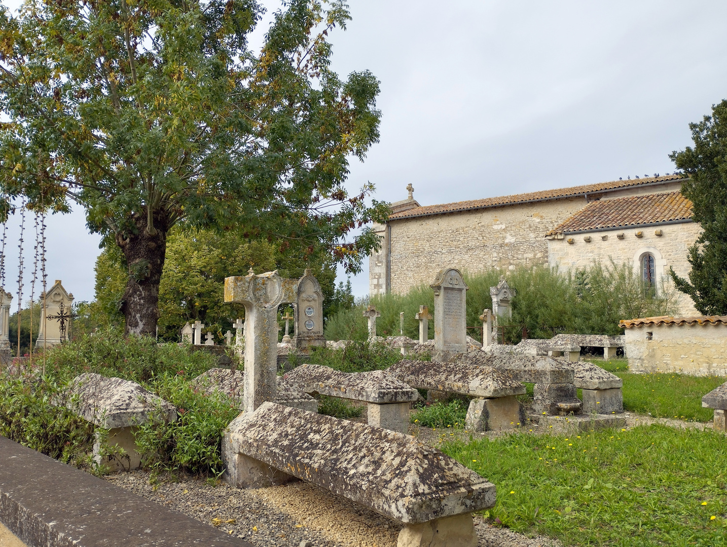 Amuré, Marais poitevin