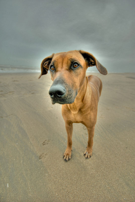 Amy am Strand