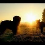 Amy and Gordon in the sunrise