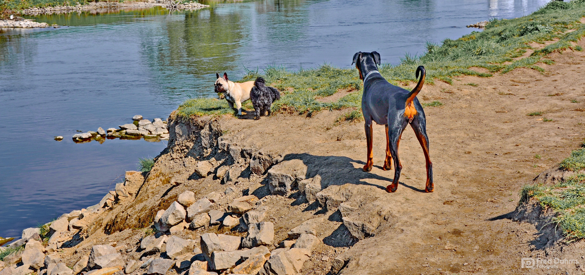 Amy, Ausflug mit Freunden