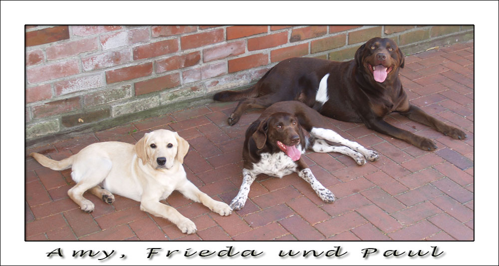 Amy, Frieda und Paul