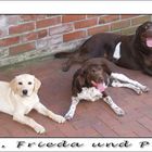 Amy, Frieda und Paul