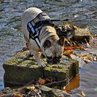 Amy, ganz schön kalt das Wasser