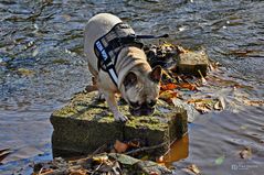 Amy, ganz schön kalt das Wasser