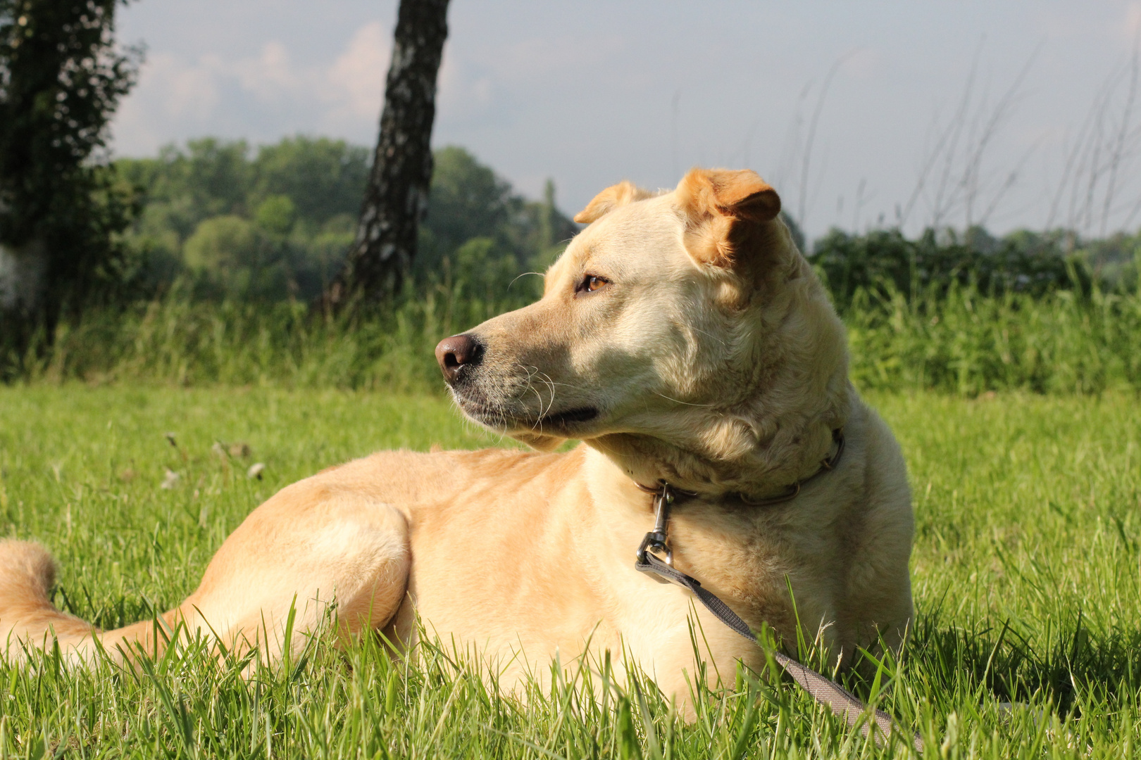 Amy in der Sonne