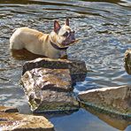 Amy in Teich