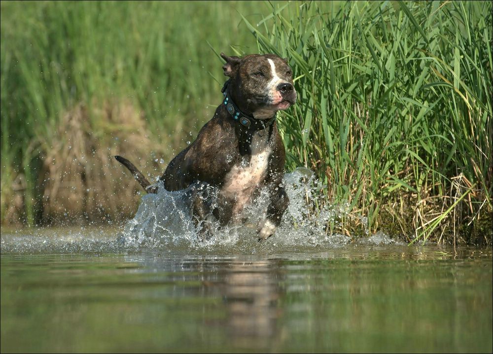 Amy in Wasser-Spaß-Laune