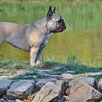 Amy, Spaziergang an der Ruhr