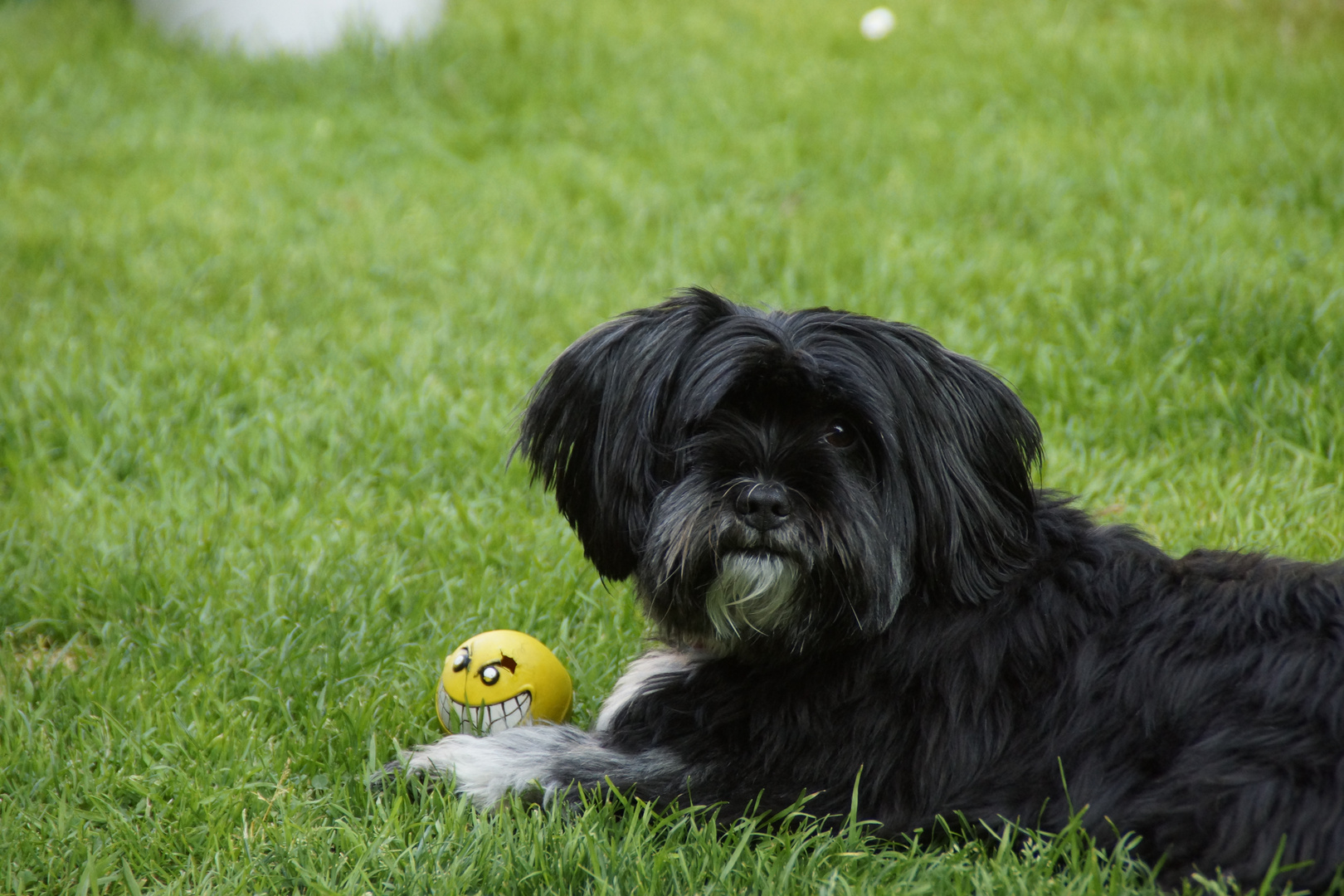 Amy und Freund 'Ball'