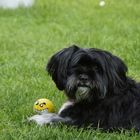 Amy und Freund 'Ball'