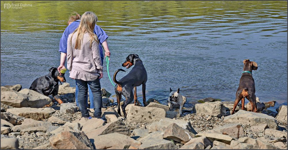 Amy und Freunde