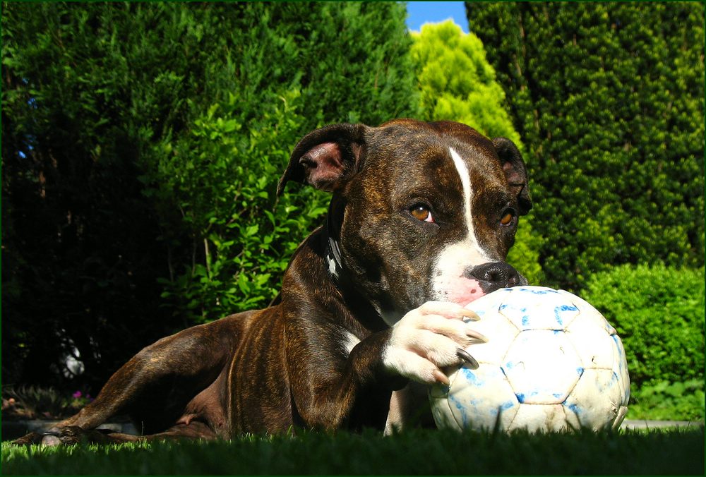 Amy und ihre "Nuckelpille"