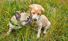 Amy und Luna