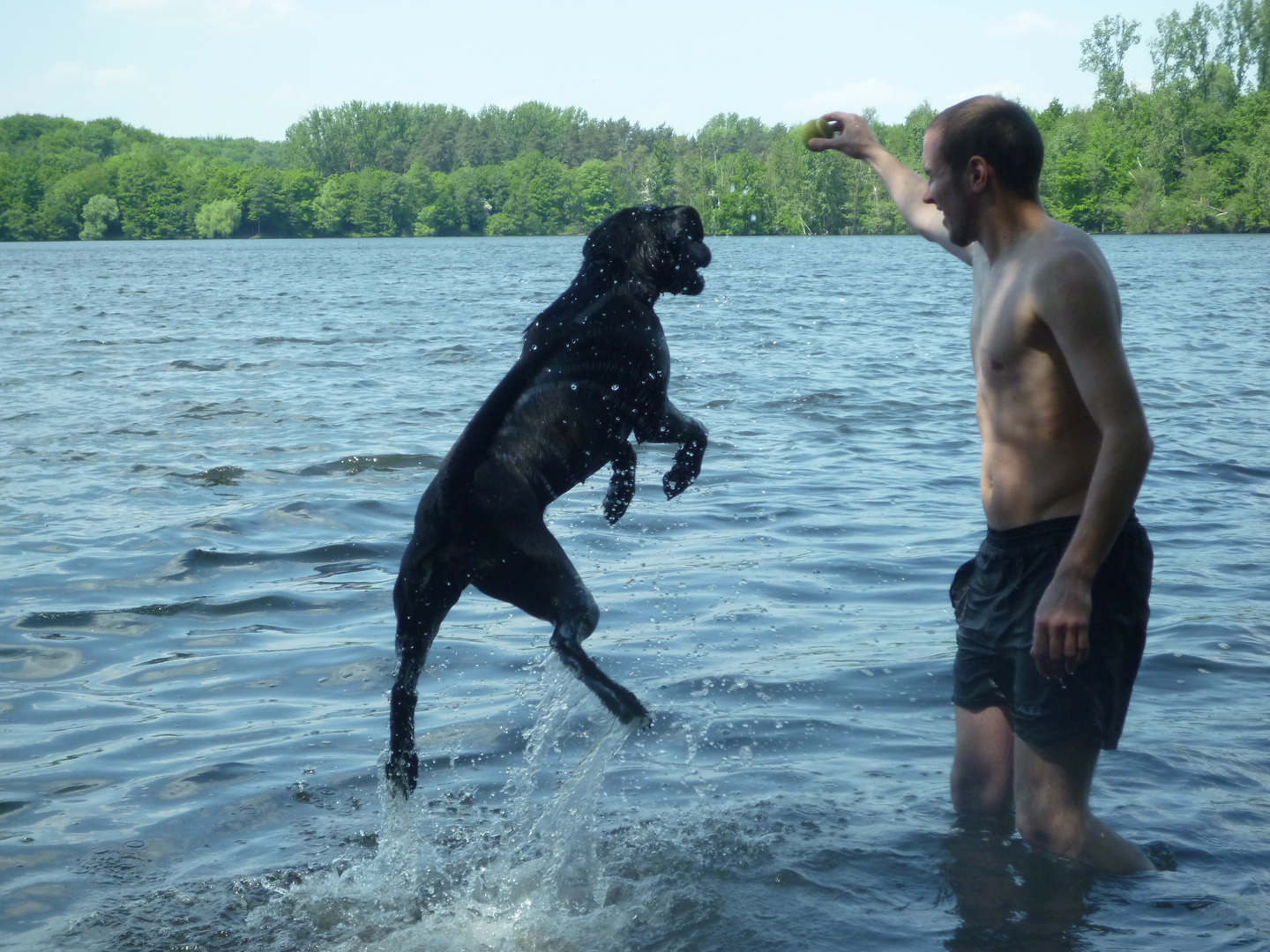 Amy´s Sprung nach dem Ball